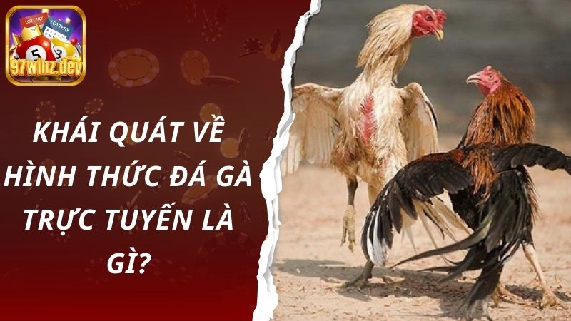 Khái quát về hình thức đá gà trực tuyến là gì?