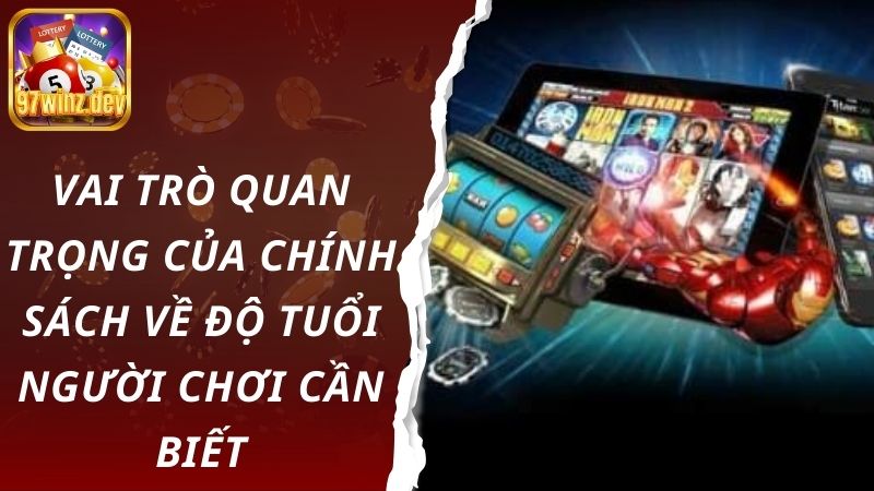 Vai trò quan trọng của chính sách về độ tuổi người chơi cần biết