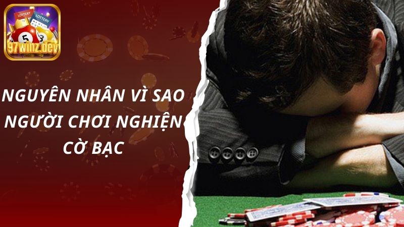 Nguyên nhân dẫn đến nghiện cờ bạc là do đâu?