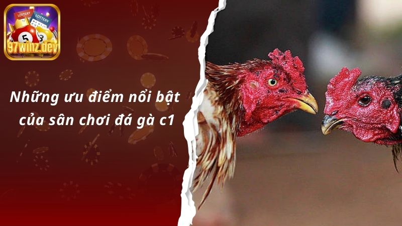 Những ưu điểm nổi bật của sân chơi đá gà c1