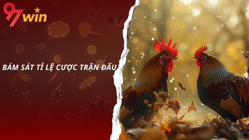 Bám sát tỉ lệ cược trận đấu