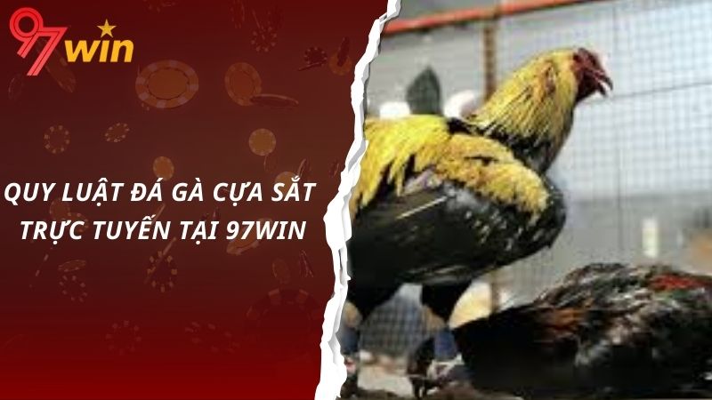 Quy luật đá gà cựa sắt trực tuyến tại 97win