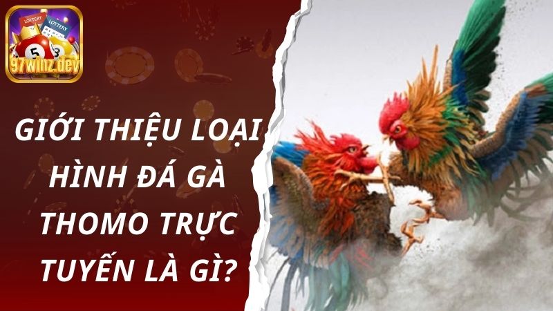 Giới thiệu loại hình đá gà Thomo trực tuyến là gì?