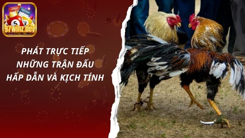 Phát trực tiếp những trận đấu hấp dẫn và kịch tính 