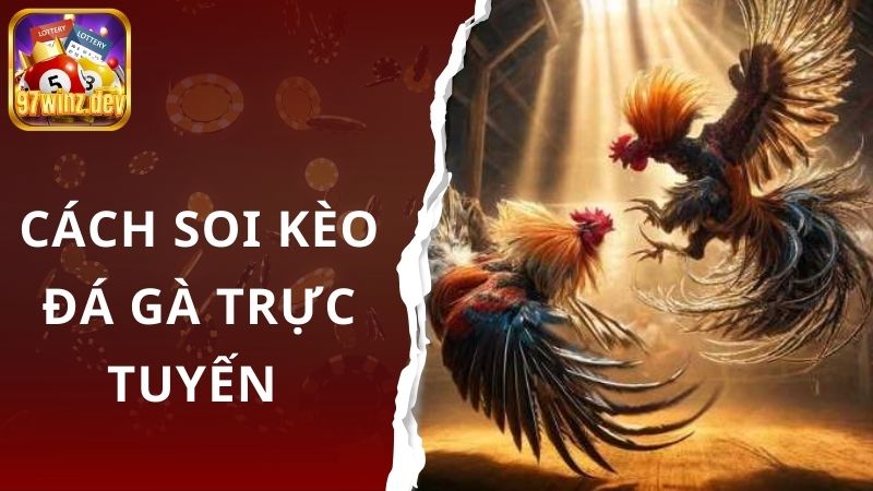 Cách soi kèo đá gà trực tuyến