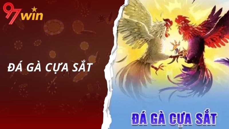 Đá gà cựa sắt